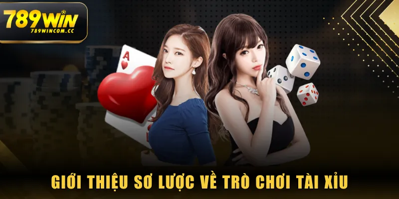 Chi tiết luật chơi Tài Xỉu chuẩn cho newbie