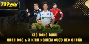 Kèo Đồng Banh - Cách Đọc & 3 Kinh Nghiệm Cược Kèo Chuẩn