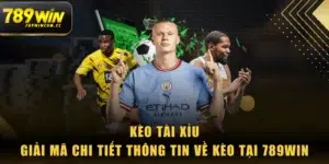 Kèo Tài Xỉu - Giải Mã Chi Tiết Thông Tin Về Kèo Tại 789WIN